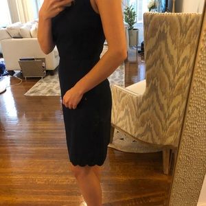 JCrew navy scallop neck dress
